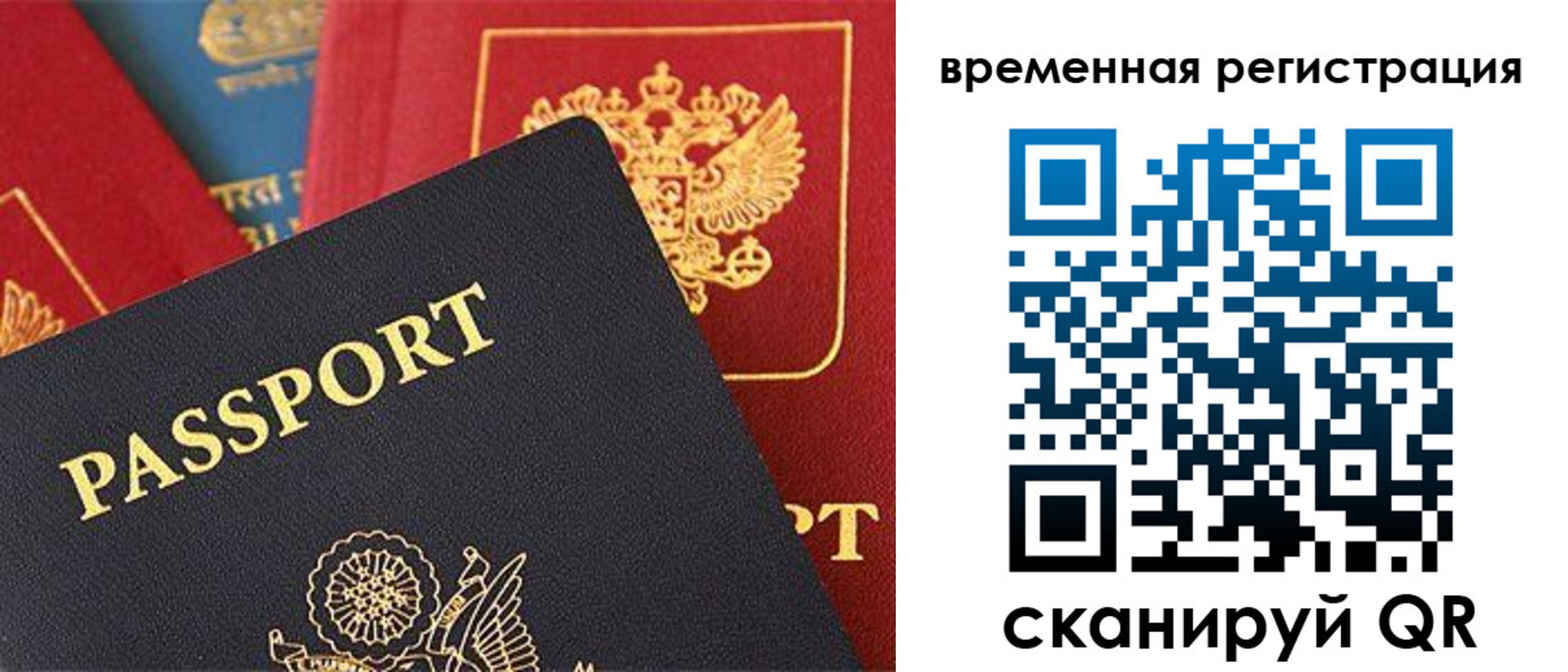 временная регистрация гарантия в Ельне